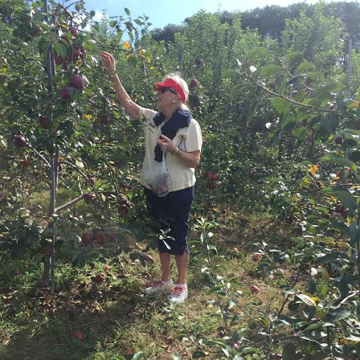 Arlie Picking Apples